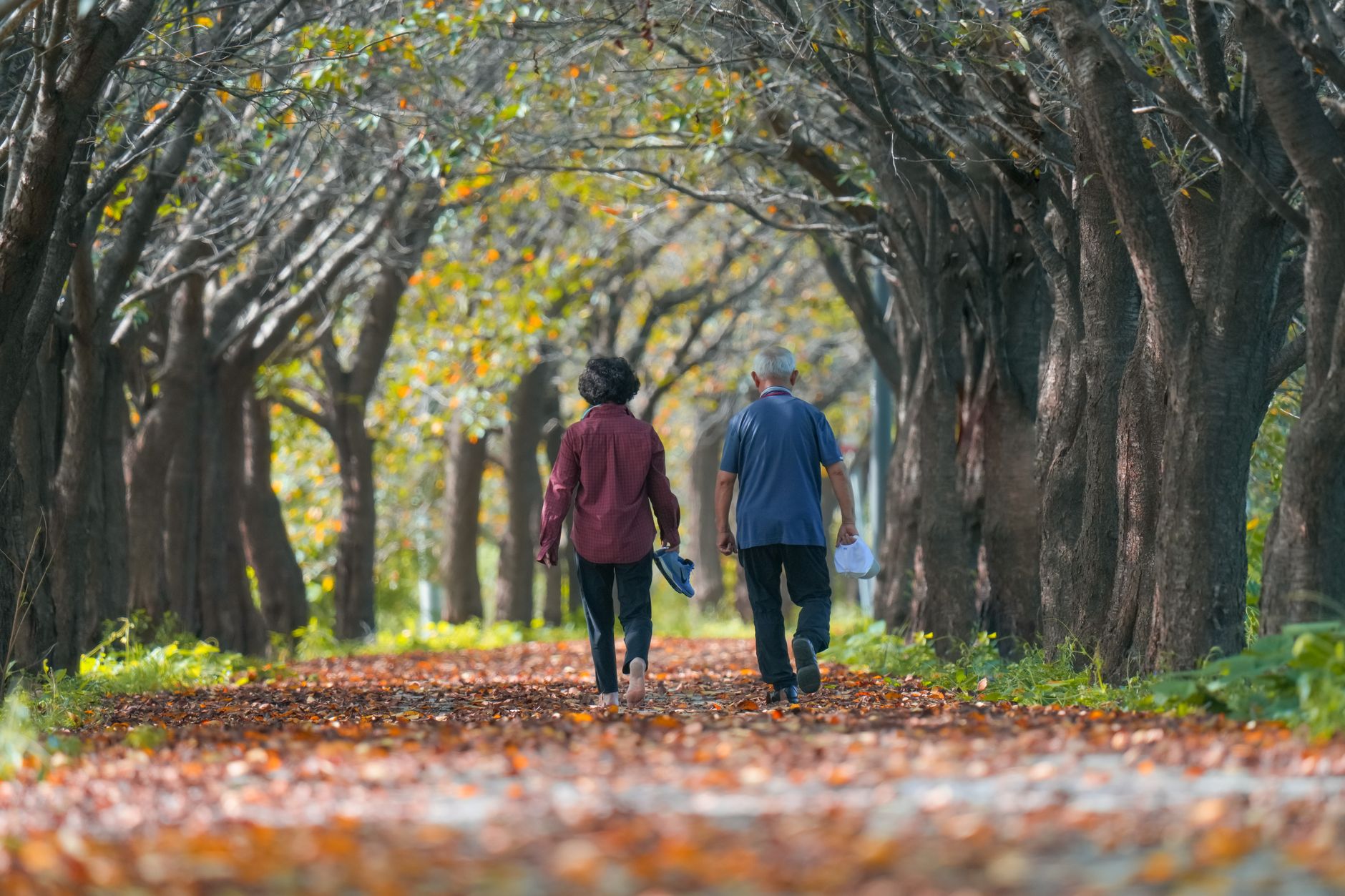 How Aging Affects Balance and Fall Risk